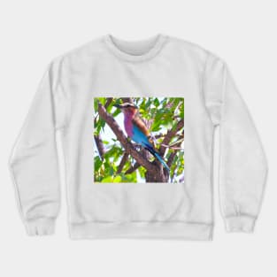 African bird Crewneck Sweatshirt